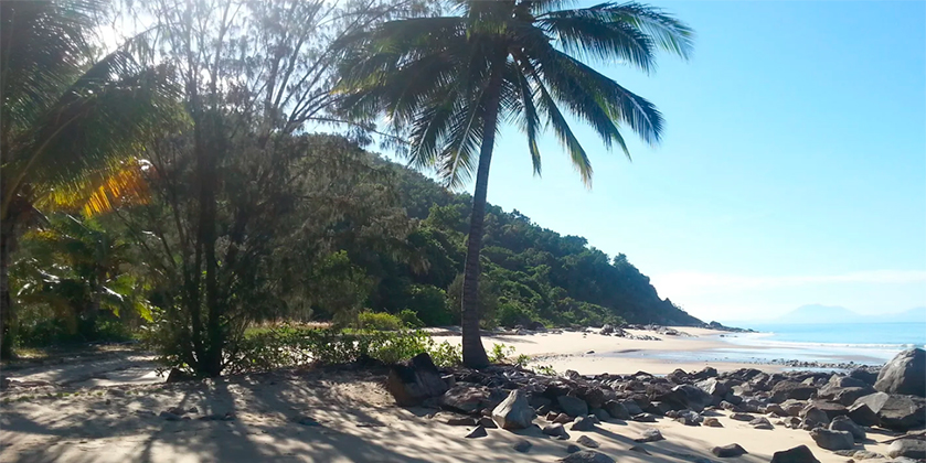 Welkom bij Turtle Cove Beach Resort