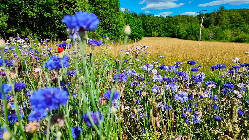 Naturistische camping Le Coteau de l’Herm