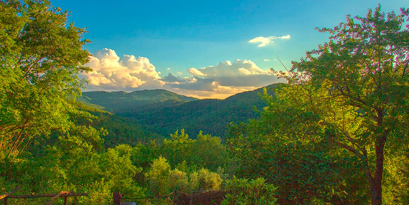 Wild Umbria - privé natuurretreat met zwembad in Umbrië