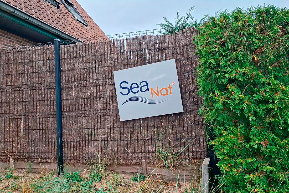 Sea Nat