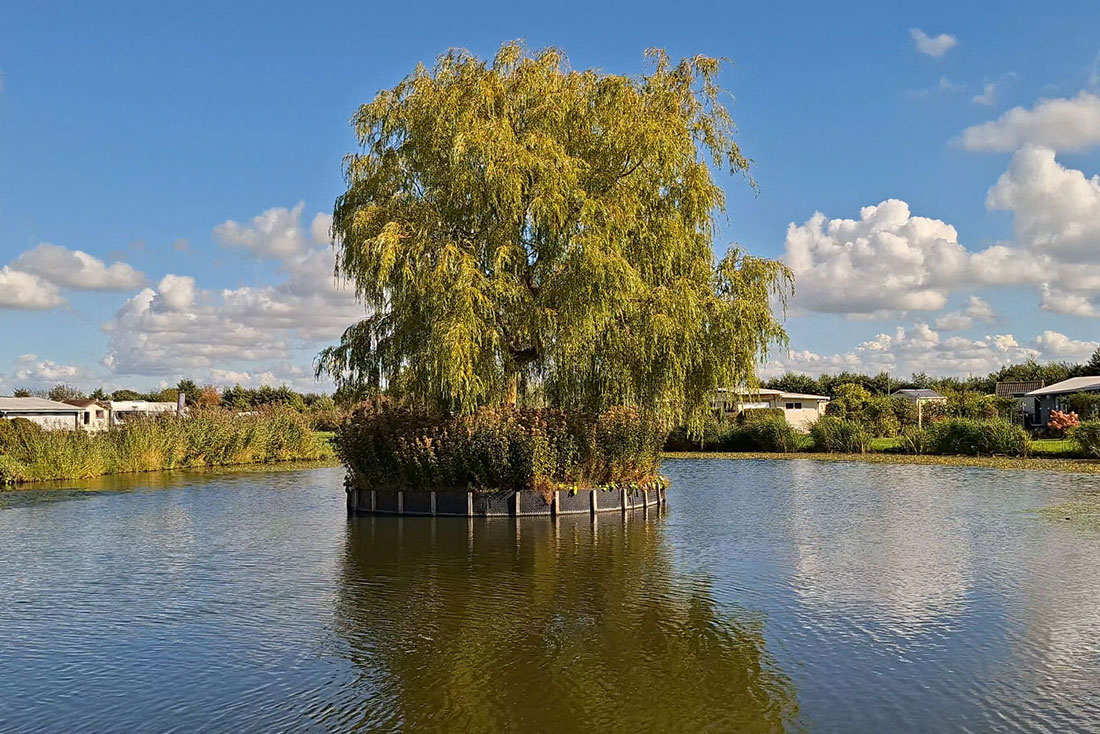 Natuurlijke zwemvijver bij naturistencamping De Brongaard Hellevoetsluis