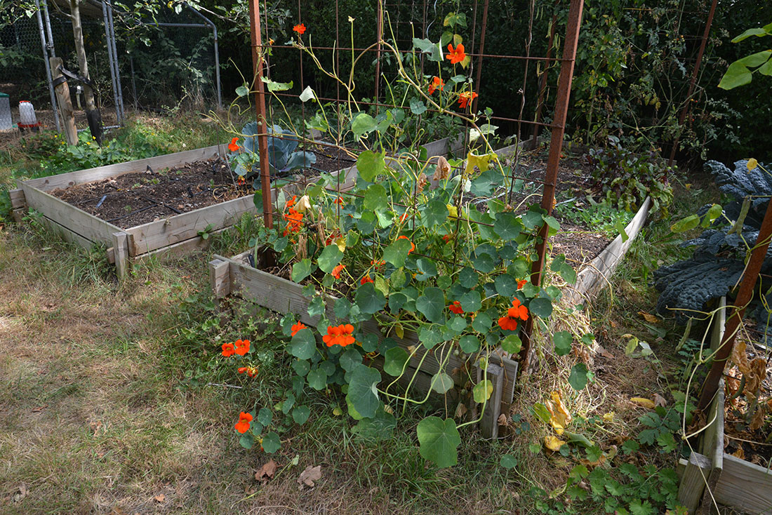 de groentetuin van Hoeve Boord Ven