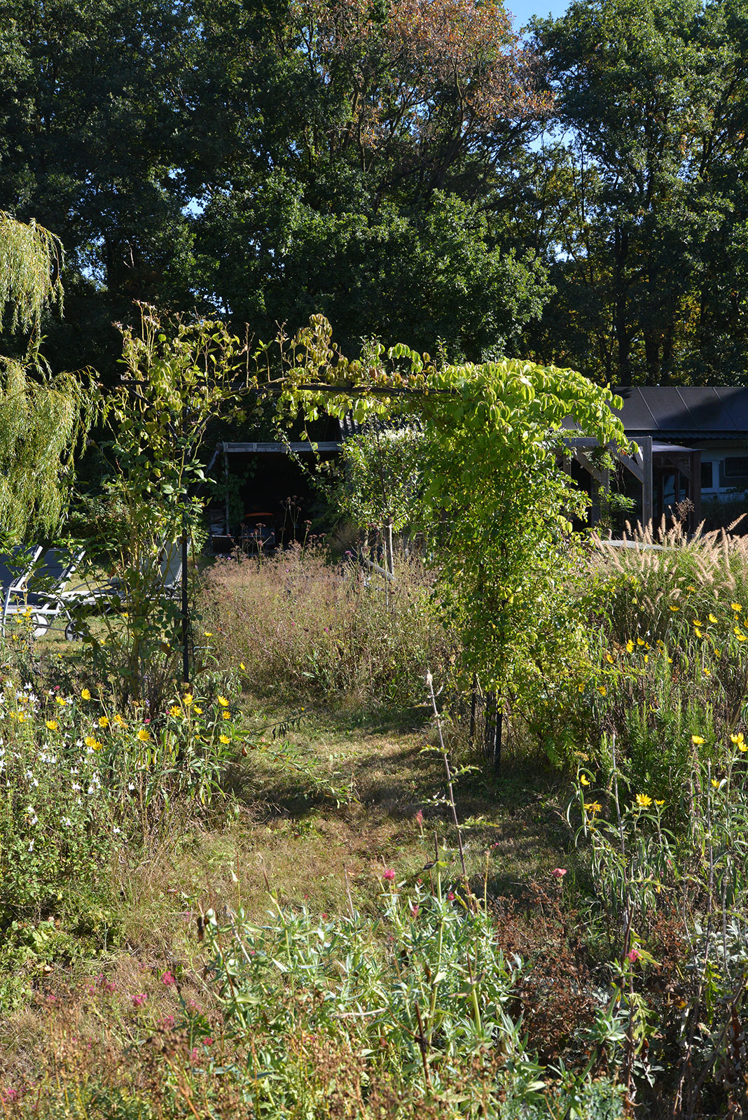 Hoeve Boord Ven - diverse planten