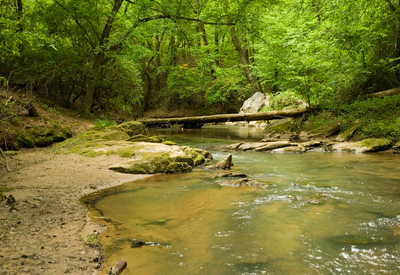 georgia-serendipity-park-nudist-resort georgia-serendipity-park-nudist-resort