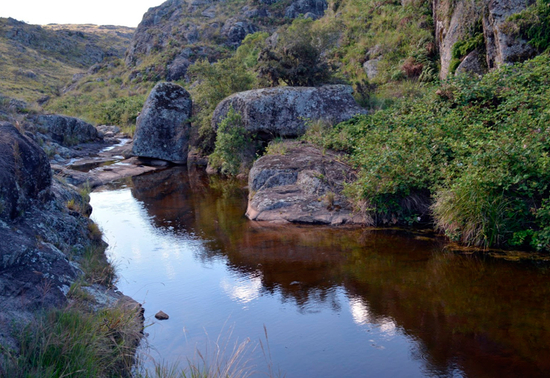 argentinie-yatan-rumi