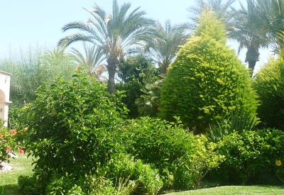 spanje-casa-esquina-verde-04.jpg