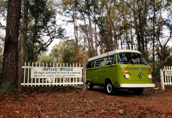 georgia-native-woods-campground