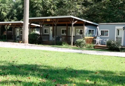 maryland-pine-tree-associates maryland-pine-tree-associates