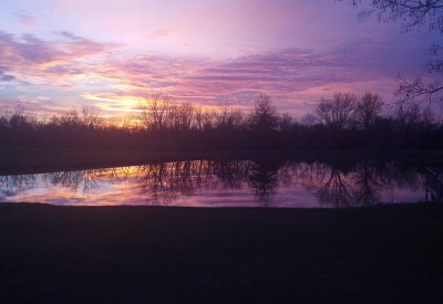 missouri-natural-pines-resort