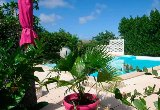 sint-maarten-caribbean-nature