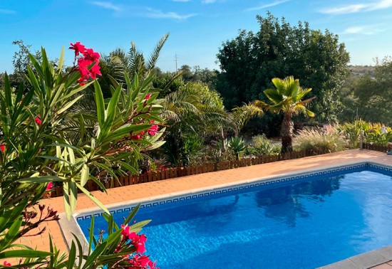 portugal-casaa-amendoa