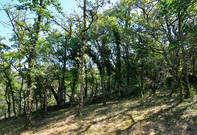 frankrijk-gite-naturiste-dacaniro46-08.jpg