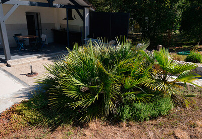frankrijk-gite-naturiste-dacaniro46-14.jpg