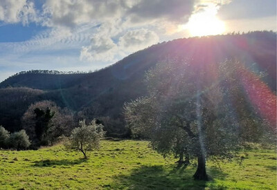 Campeggio-Naturista-INSIEME
