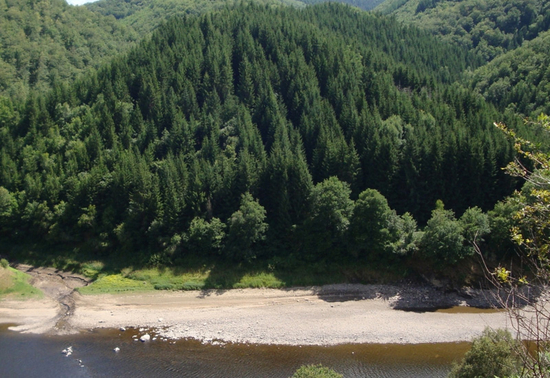 domaine-de-la-taillade