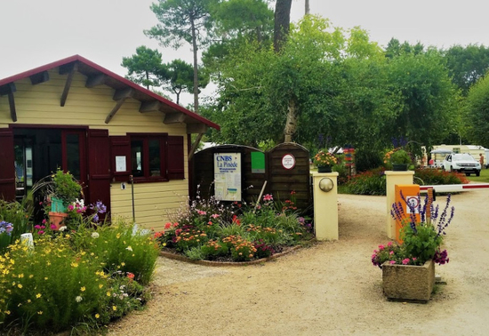 la-pinede la-pinede