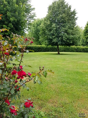 camping-bleesbruck04.jpg