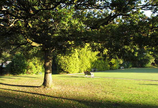 verenigd-koninkrijk-manchester-sun-air-society