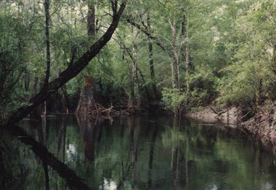 georgia-hidden-river-resort georgia-hidden-river-resort