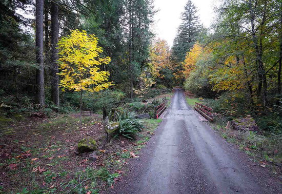 oregon-willamettans oregon-willamettans