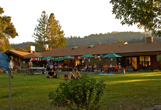 californie-lupin-lodge
