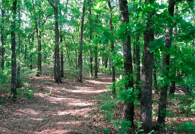 oklahoma-oaklake-trails